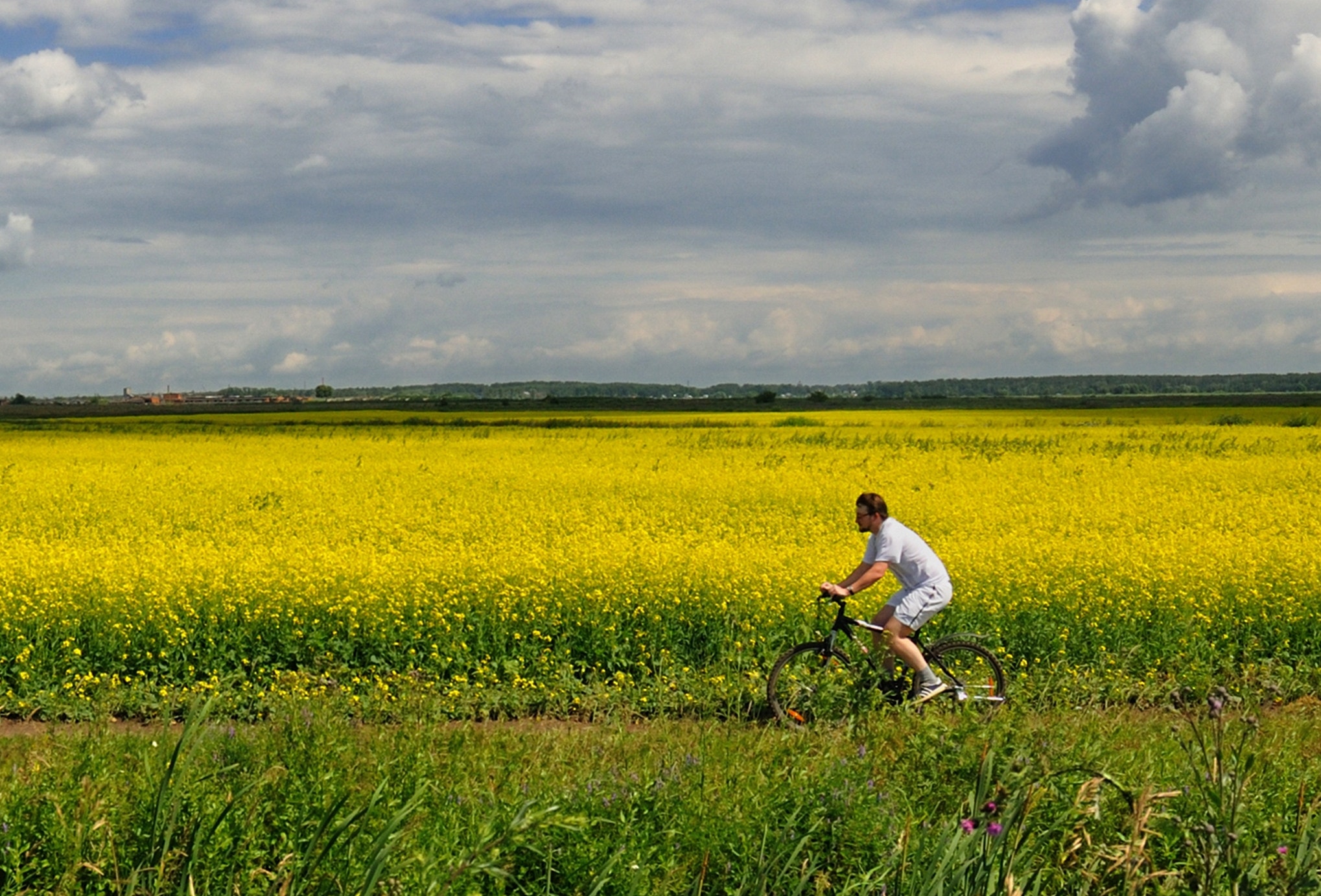 Aleksey Ubozhenko on field in Russia, about Moscow, Ramenskoe.