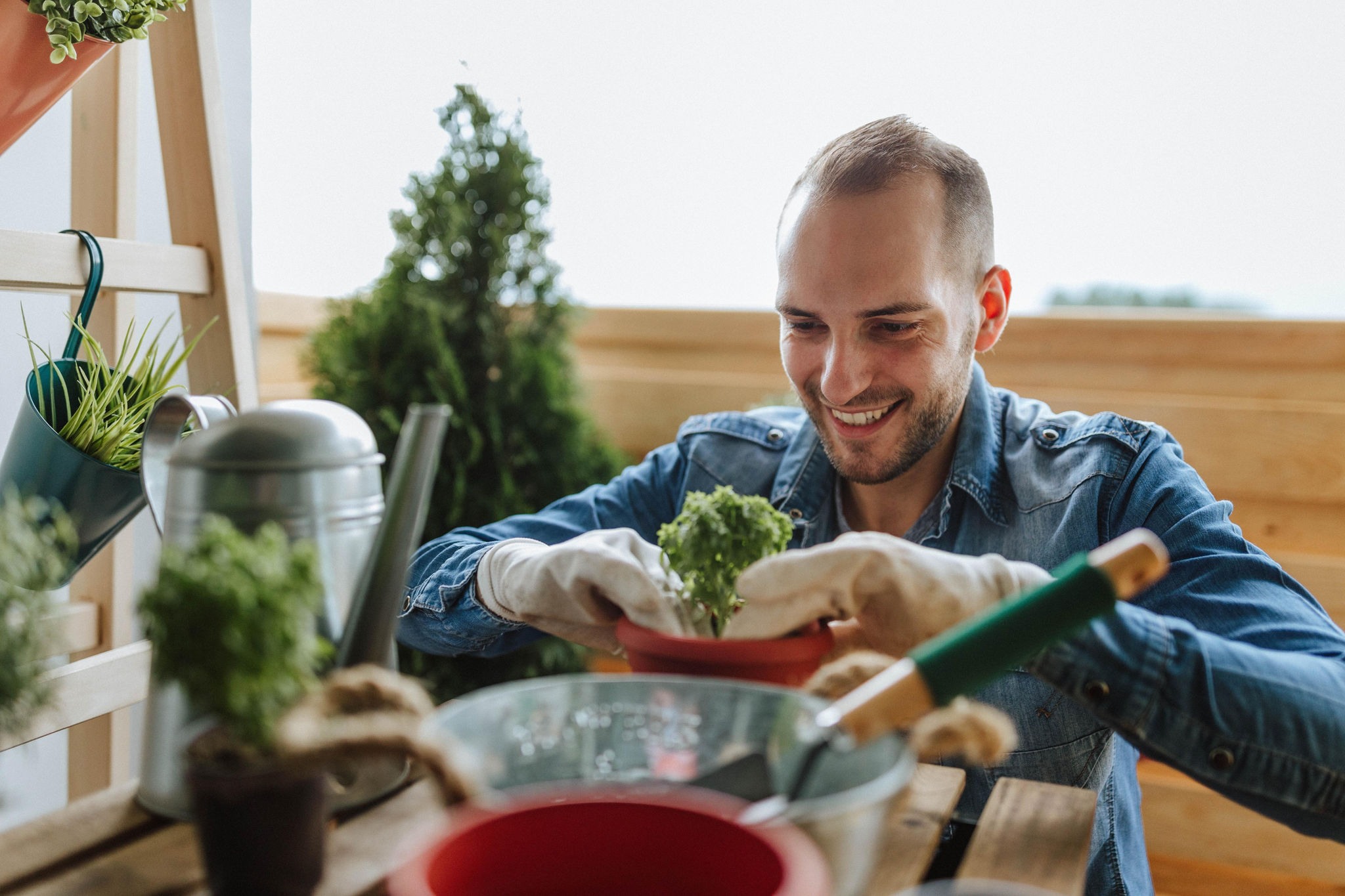 canva-young-male-gardener