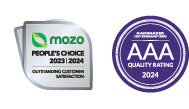 SMI award logo footer