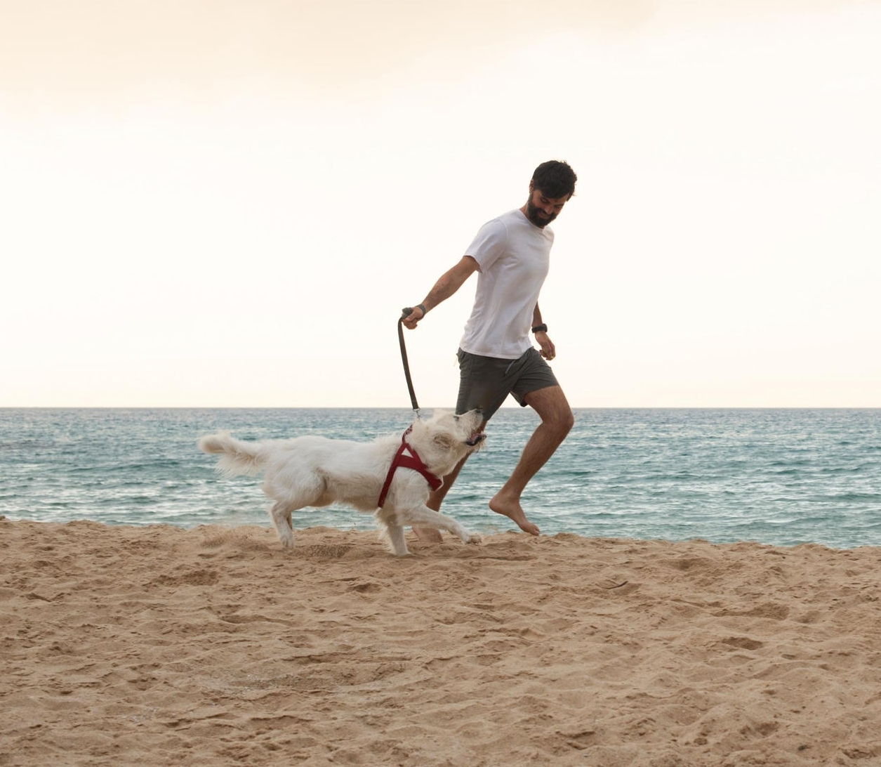 canva-man-running-dog-beach